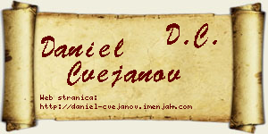 Daniel Cvejanov vizit kartica